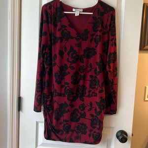 Lovely WHBM long sleeve mini dress